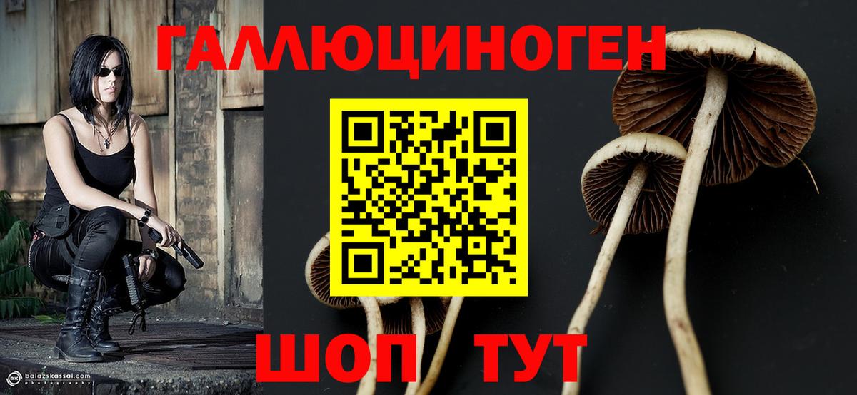 Галлюциногенные грибы GOLDEN TEACHER Тихорецк