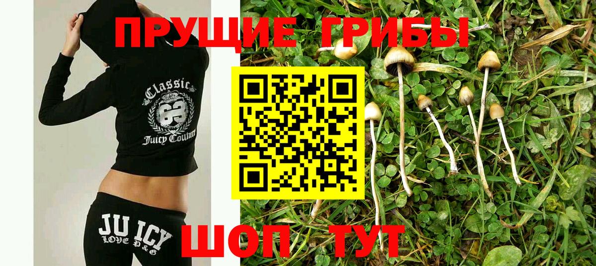 Тихорецк  Псилоцибиновые грибы Magic Shrooms  Вход с VPN 